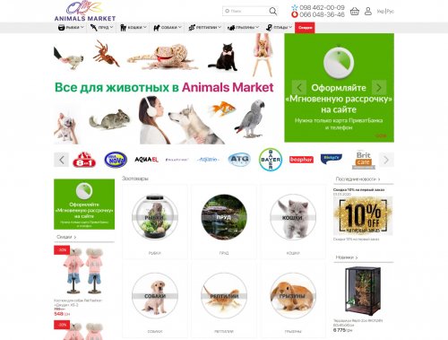 Animals Market